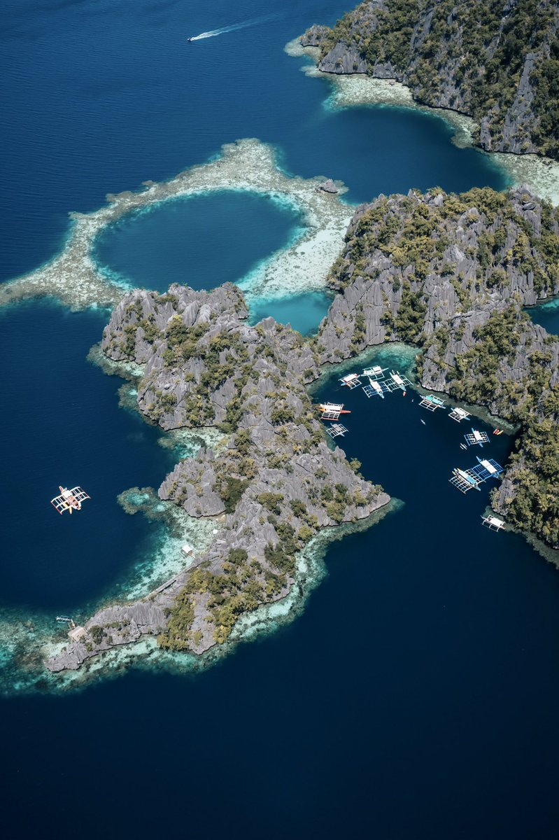 Jonny Melon tweet media