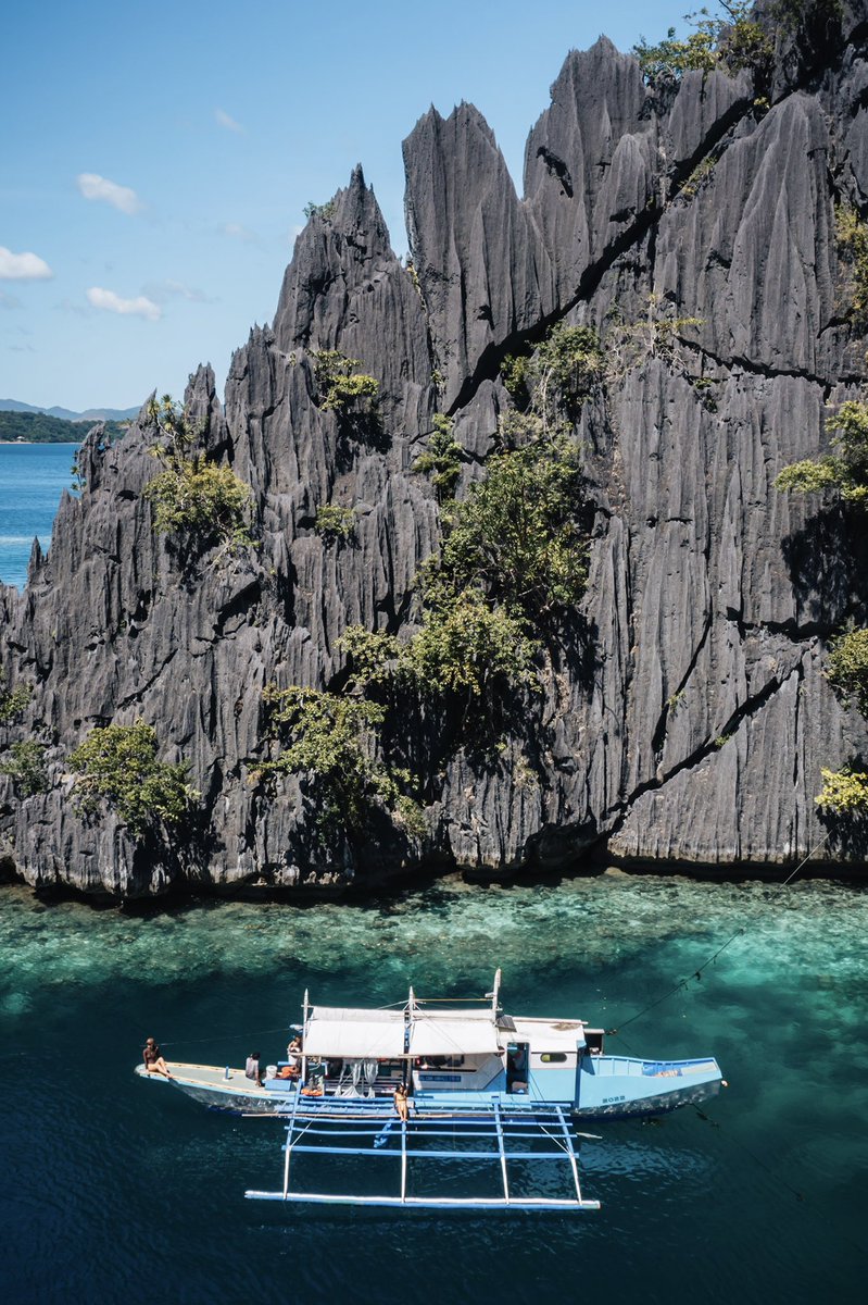 Jonny Melon tweet media