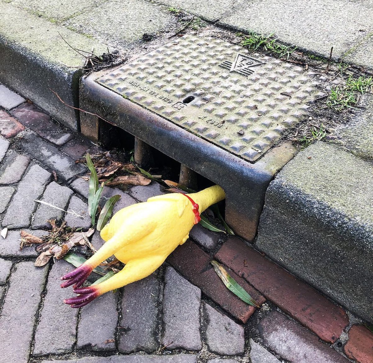 He lost the boat I made him… #RubberChicken