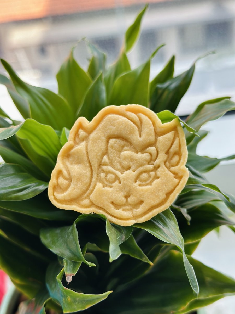 Sipher cookies made with ❤️ by the art team

One of our awesome 2D artists, Nguyen Huynh, baked special <a href="/playSIPHER/">SIPHΞR</a> Inu &amp; Neko cookies for everyone to enjoy at the HQ.

Who wants a bite? 🍪

#LifeAtAtherLabs #LifeAtSipher