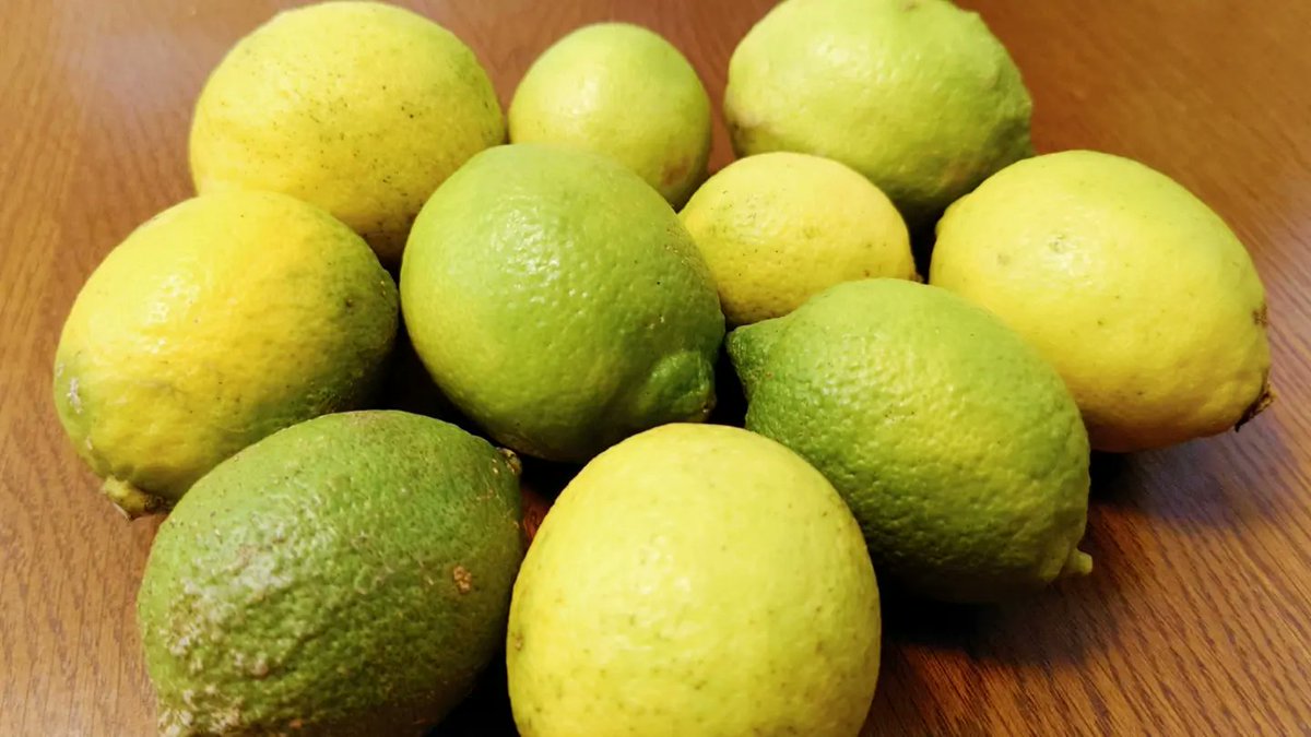 レモン Twitter Search Twitter レモン Twitter Search Twitter