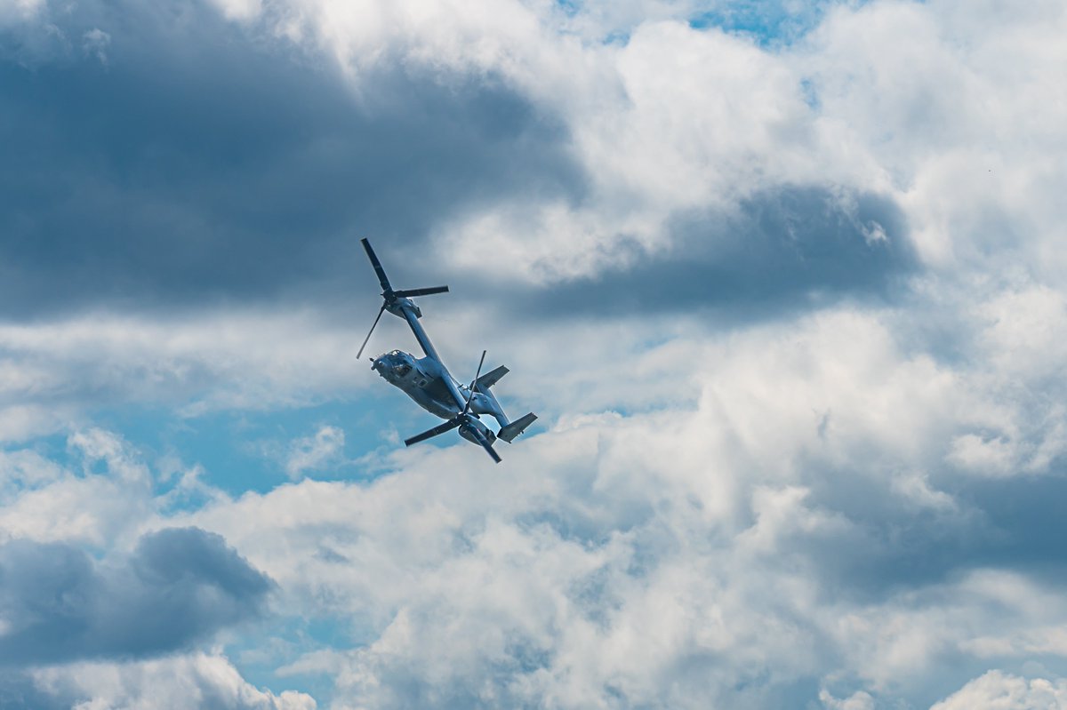 Tosh＠よろず屋 tweet media