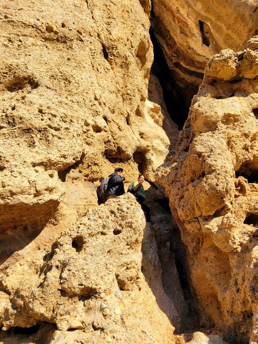 Lorena Flores 🧡 tweet media