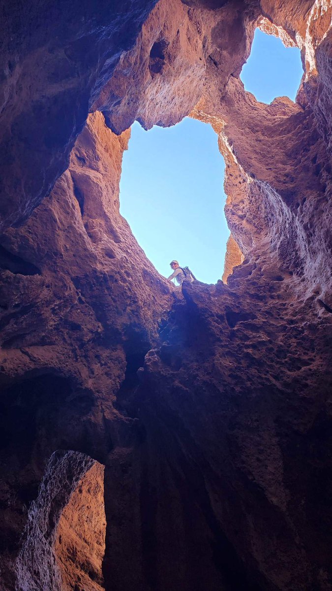 Lorena Flores 🧡 tweet media