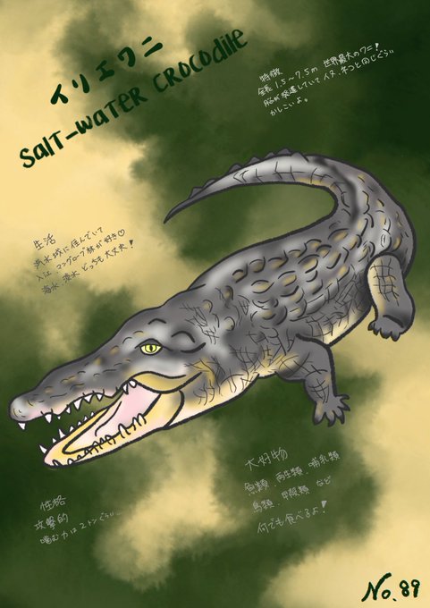 イリエワニ のイラスト マンガ作品 10 件 Twoucan イリエワニ のイラスト マンガ作品 10 件 Twoucan