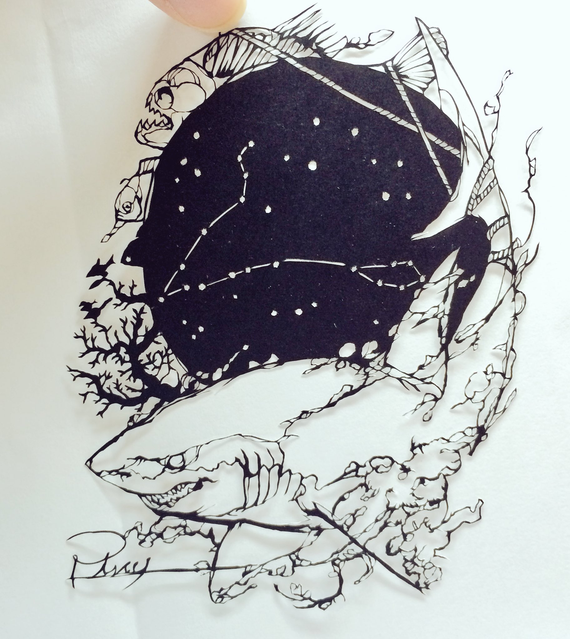 ホオジロザメ　アクリル画　原画 ホオジロザメアクリル画原画