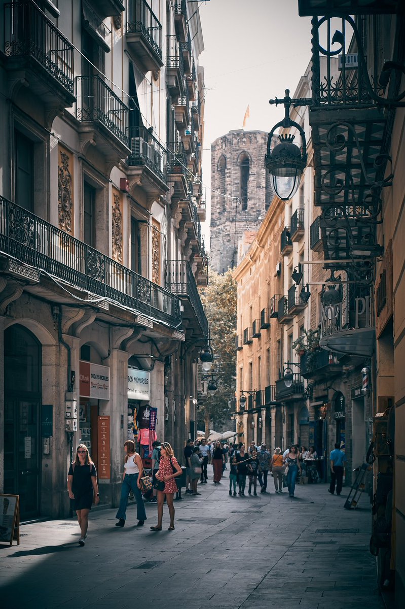 joanlopezphoto's tweet photo. Activity in the streets of the Gothic Quarter
📸 Fujifilm X-T4
📷 Fujinon XF 35mm F2 R WR
⚙️ ISO 160 - f/4.0 - Shutter 1/400
#barcelona #city #cityscape #street #streetphotography #urban #urbanphotography #belltower #santamariadelpi #tourism #architecture #photography https://t.co/qnVo0ooDCx