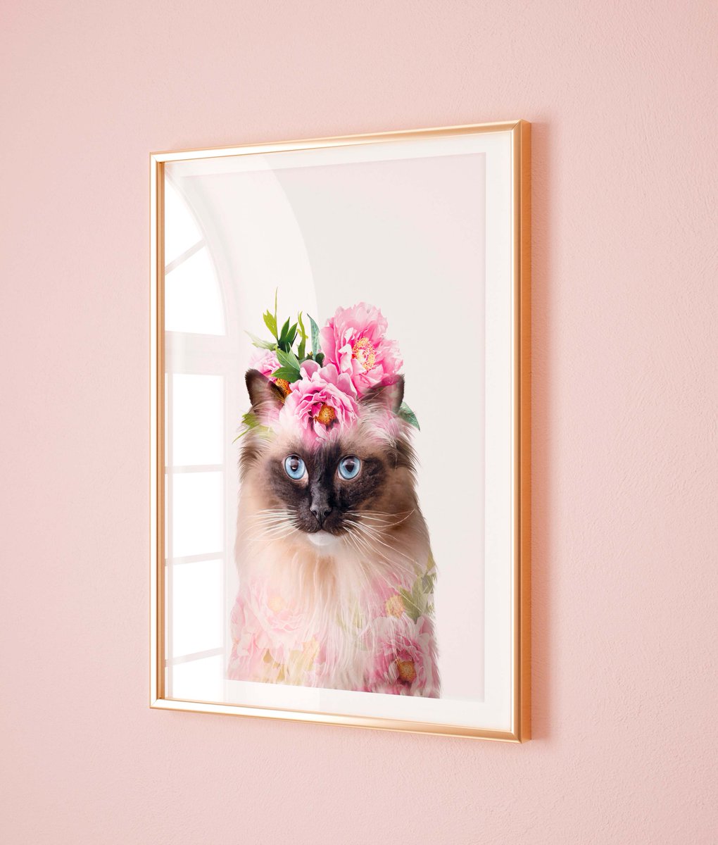 Hey Kitty kats, have you seen our new Rag doll cat art print? 
This would make a purrefct gift for all you cat lovers.