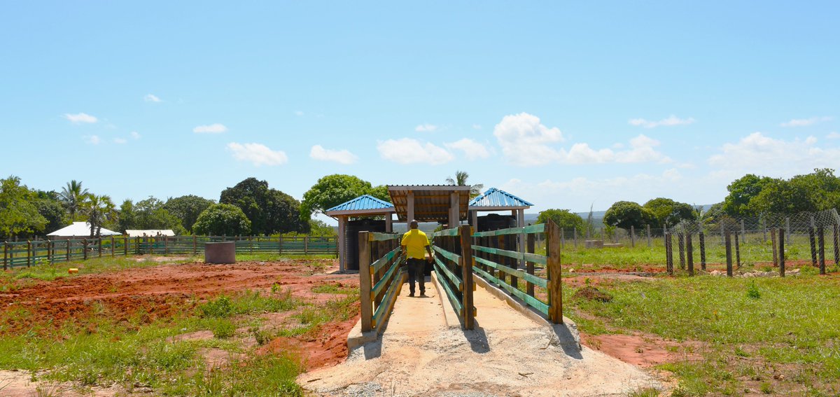 CdaBase's tweet photo. The CDA Committee of Lunga-Lunga &amp; Base Titanium have finalized the construction of a Cattle dip in Bwiti, Lunga-Lunga Sub-County.
The plunge dip will help livestock farmers improve animal husbandry and protect livestock from external parasites such as lice, flea and ticks. https://t.co/7ufKco9ohJ
