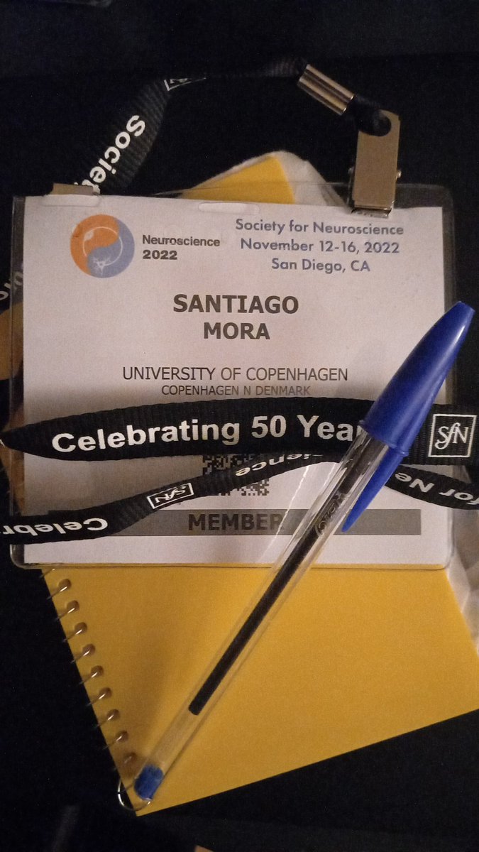 What? ALS, synaptic connectivity and a putative gene therapy.
When? Tuesday the 15h, 14-15h.
Where? At #SfN2022, of course!

Happy to present the newest findings from <a href="/AllodiLab/">Ilary Allodi</a>. Swing by poster board F54 to know more 🙂