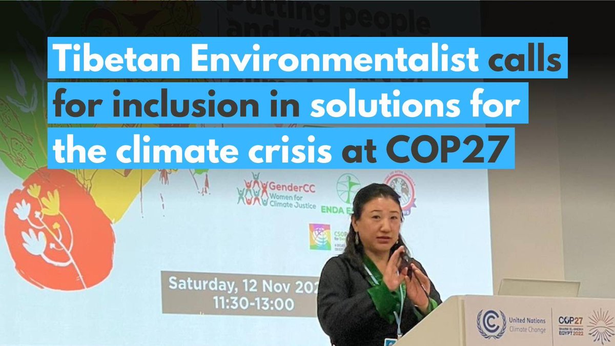 Watch and listen to #TibetClimateCrisis expert @lobyang’s powerful speech at #COP27 - urging people are put at the heart of real solutions for #ClimateAction ▶️ youtube.com/watch?v=97xgyi… @TibetThirdPole #cop27 #Tibet #TibetClimateCrisis #TogetherForImplementation #LossAndDamage