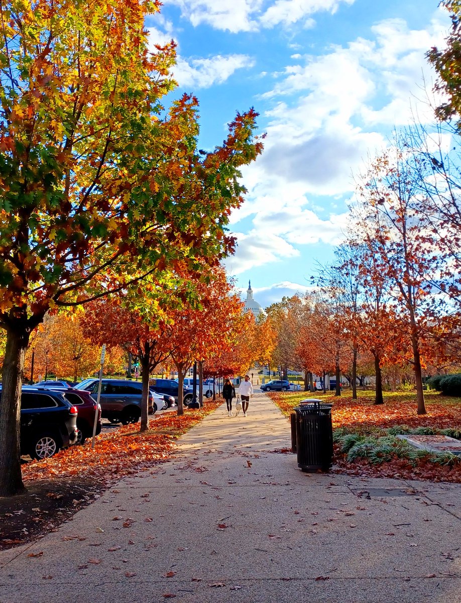ChloeSullivanJ's tweet photo. #washingtondc #autumn #dcfall #washingtondcfall #washingtondclife https://t.co/H4EfsJ0vbj