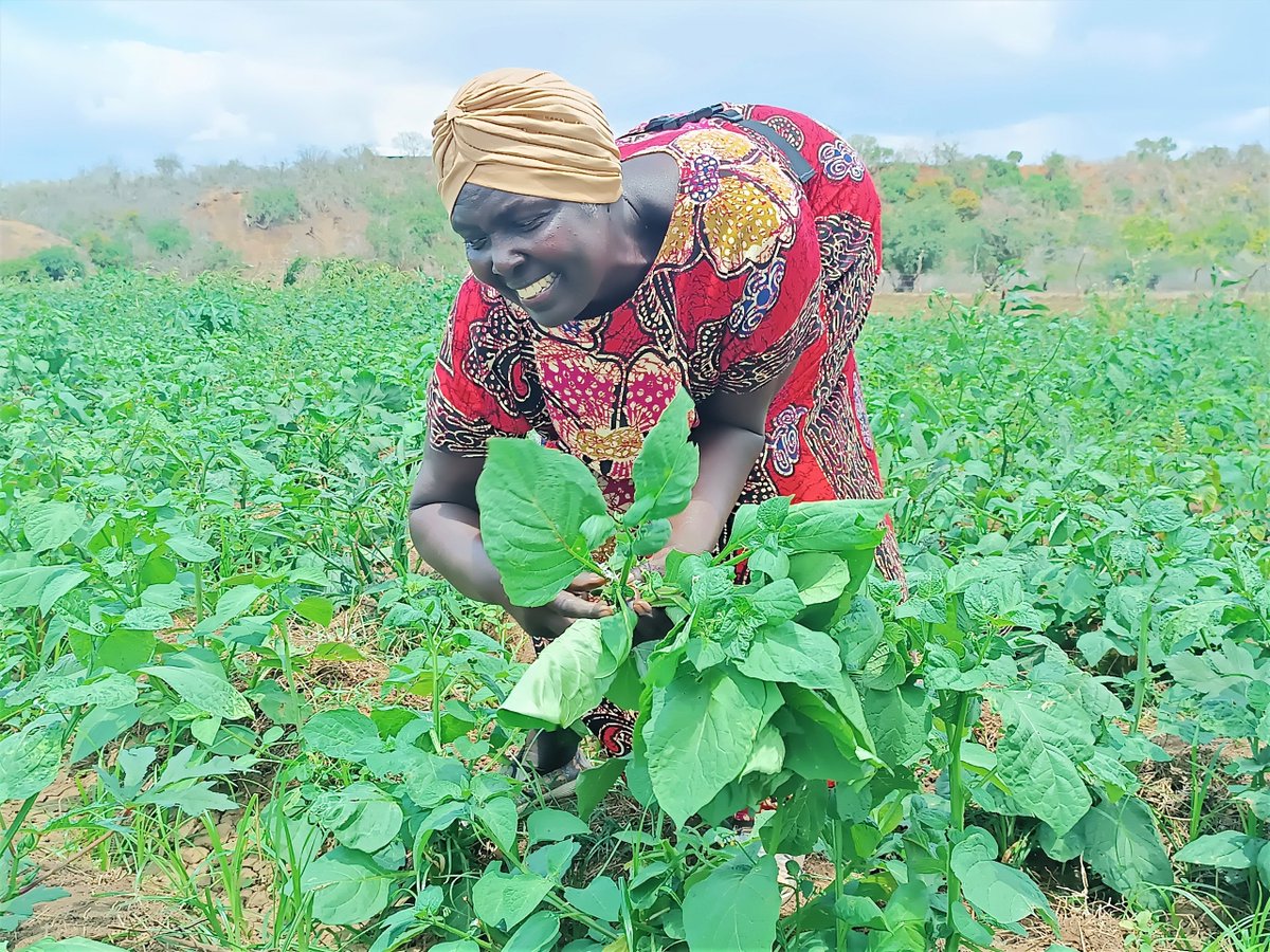 CoastDev's tweet photo. @CoastDev is committed to investing in youth and women as agents of change as they amplify their efforts in conservation and climate smart agriculture activities in the region. https://t.co/7ZiL7YYUWL