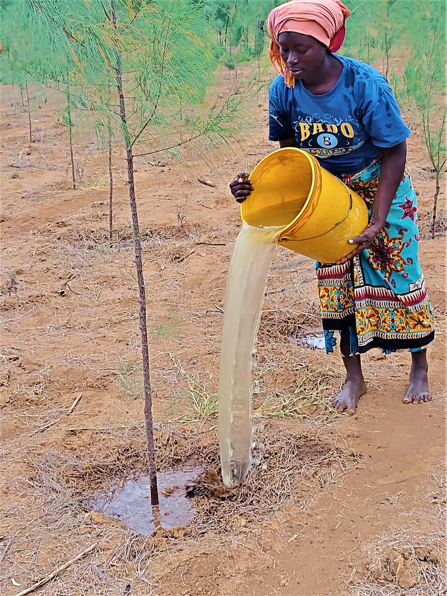 CoastDev's tweet photo. @CoastDev is committed to investing in youth and women as agents of change as they amplify their efforts in conservation and climate smart agriculture activities in the region. https://t.co/7ZiL7YYUWL