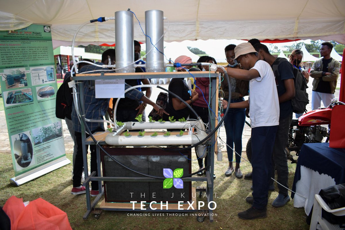 Afri_Prime's tweet photo. The mind blowing  "Aquaponics Project" that combines Hydroponics (Suspended/Smart Farming in Containers) and Fish Farming where the Fish in the below black Aquarium feed from the plant waste and the Plants also feed on the Fish waste. 3/7 https://t.co/jAM9cZvyVu