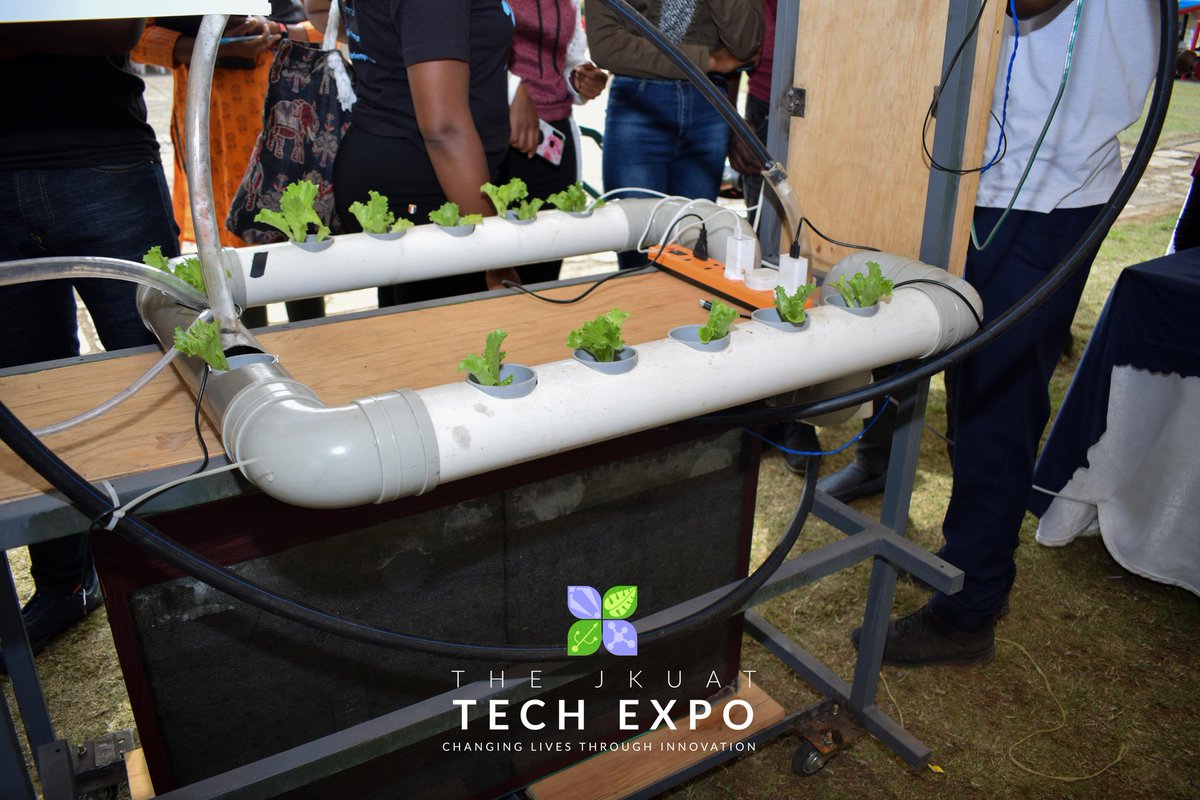 Afri_Prime's tweet photo. The mind blowing  "Aquaponics Project" that combines Hydroponics (Suspended/Smart Farming in Containers) and Fish Farming where the Fish in the below black Aquarium feed from the plant waste and the Plants also feed on the Fish waste. 3/7 https://t.co/jAM9cZvyVu