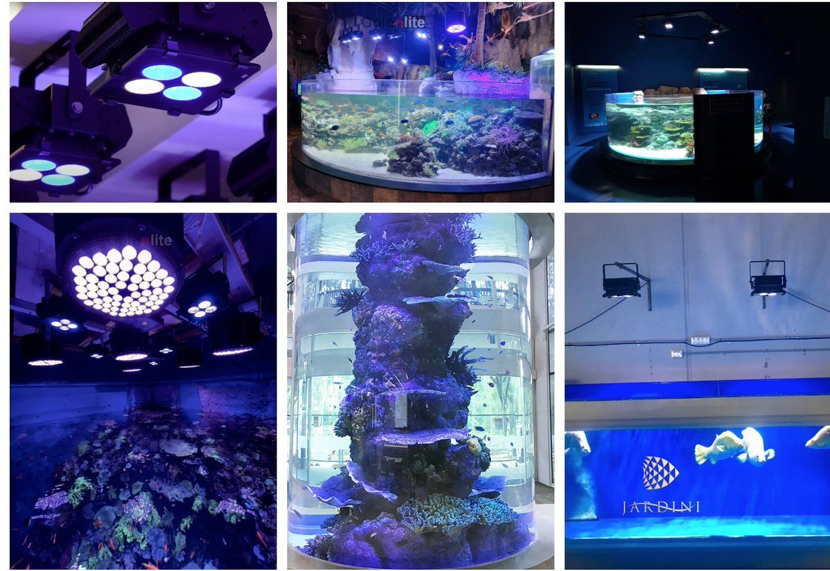 Golon LED Light tweet media