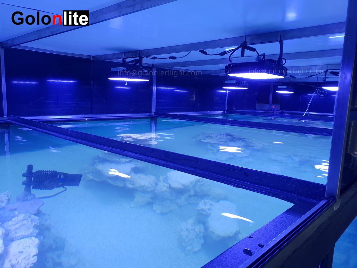 Golon LED Light tweet media