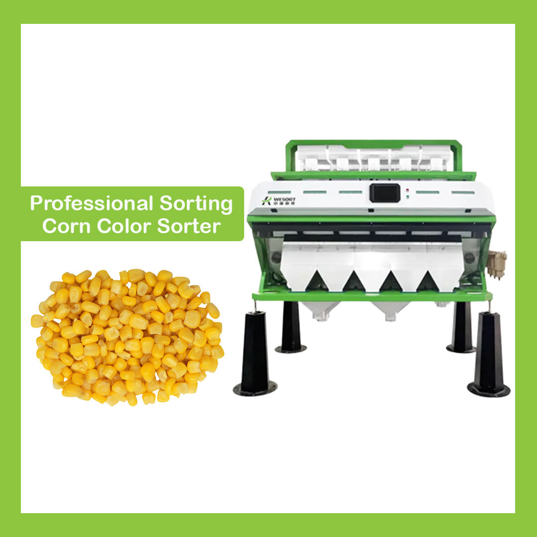WESORT1's tweet image. Sorting machine is used to sort the corn into different colors automatically. It can sort out the corn grains and corn kernels with high precision, which can be used in the agriculture sector.

Click the link for more details: wesortcolorsorters.com

#Wesort #ColorSortingMachine