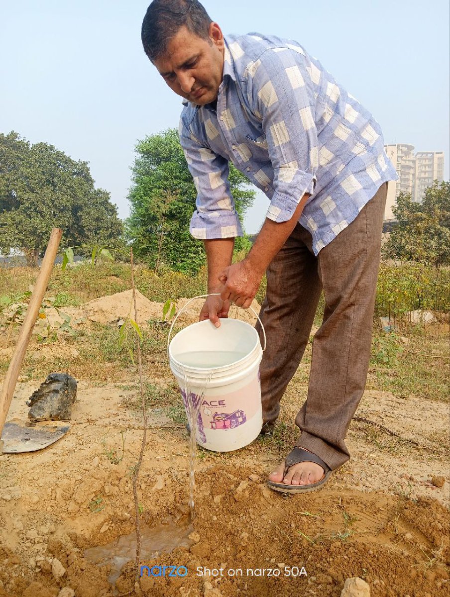 #TreePlantation Mr. Sandeep Insan from Gurugram planted 2 saplings on the occasion of his birthday, under the guidance of Saint Dr @Gurmeetramrahim Singh Ji Insan. His small step in saving our nature is worth applauding . #SaintDrMSG #GurmeetRamRahim #DeraSachaSauda