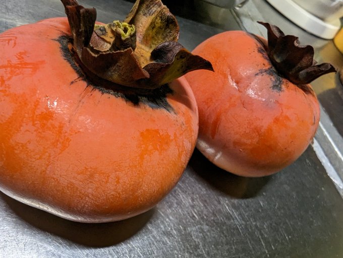 食べ頃の柿だよ〜 