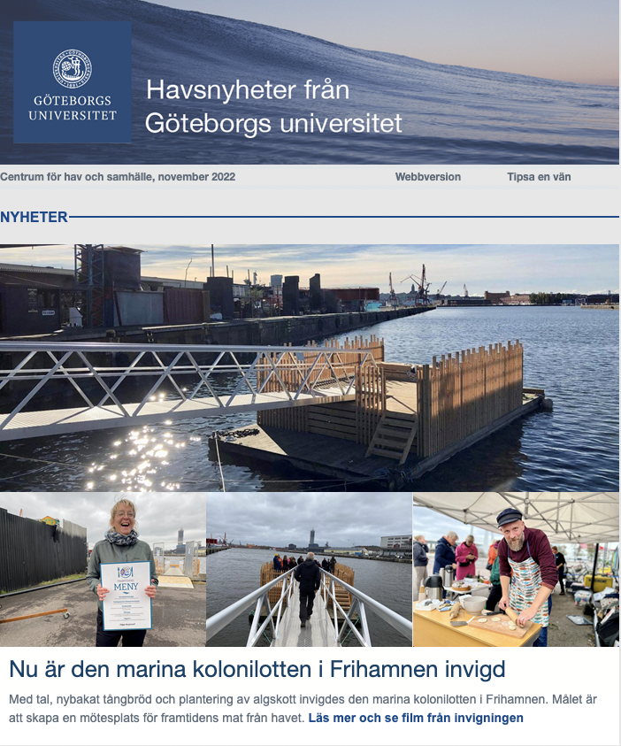 Sea_and_Society's tweet photo. Havsnyheter från @goteborgsuni ute nu!
🌊 Marin kolonilott invigd i Frihamnen
🌊 Hologram ger insyn i planktonens liv
🌊 Nyfikna turister kan gynna framtidens hav 
Fler nyheter, evenemang och lediga jobb i nyhetsbrevet: https://t.co/wNY2GUop6a
Prenumerera: https://t.co/OQzNruFJti https://t.co/jTjeQ6ZvVW