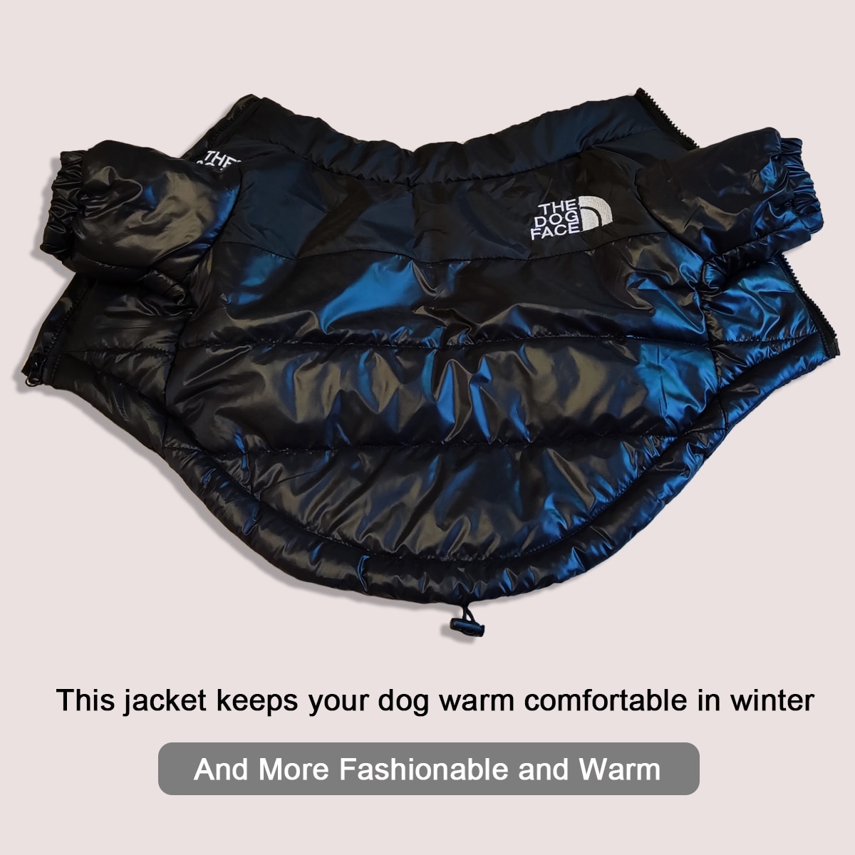 what_dogs_needs's tweet photo. Large Winter #Pet Dog Clothes French Bulldog Puppy #Warm Windproof #Jacket Small Medium #Dog Reflective Coat Chihuahua Pet #Outfits 
9.89US $ 46% OFF Large Winter Pet Dog Cloth...
Smarter Shopping, Better Living! AliExpress
click &amp; buy: https://t.co/8ZJ3lvONIp

#Eagles #tu #tak https://t.co/B71NF5ymfi