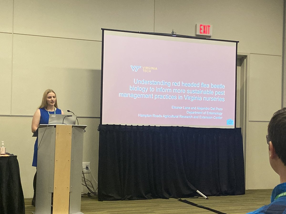 Ellie_VTbugs's tweet photo. Today i presented my research on the #redheadedfleabeetle at #EntSoc22 #JAM2022 looking forward to the rest of the conference now that the hard part is over! https://t.co/dGsx8LJc8G