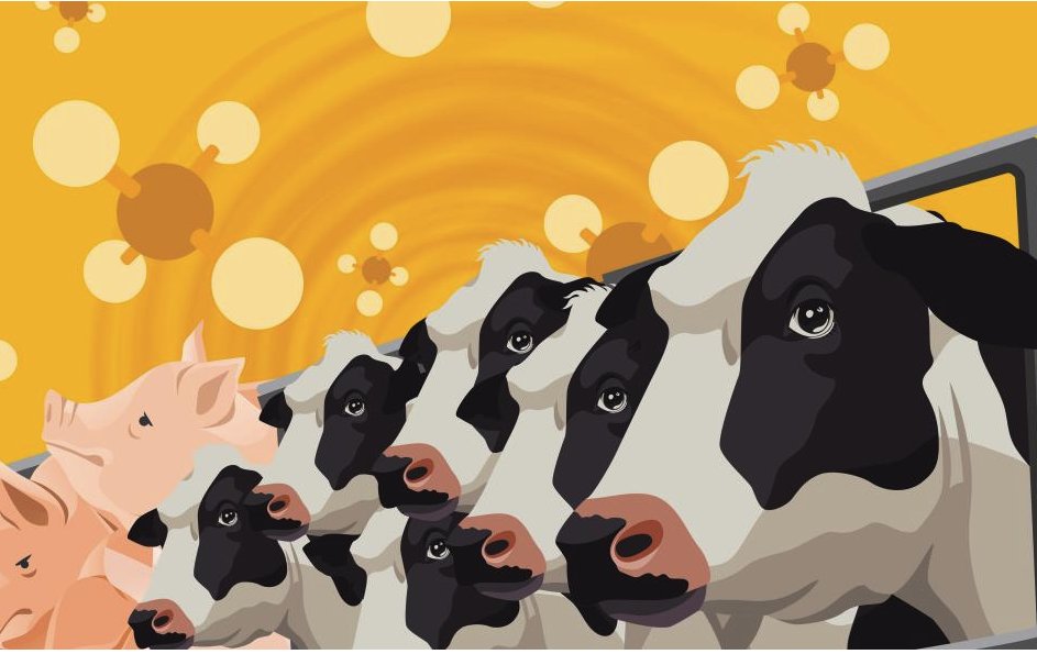 15 grote vlees- en melkbedrijven - ook @FrieslandCampina - vervuilen meer dan 
<a href="/Shell/">Shell</a>, @ExxonMobil   en #BP samen; 80% van EU-methaanuitstoot! 
Onderzoeker zegt: "Dit is verbijsterend. We moeten stoppen met bio-industrie".  bit.ly/3TCkM7I
bit.ly/3GcFmbL