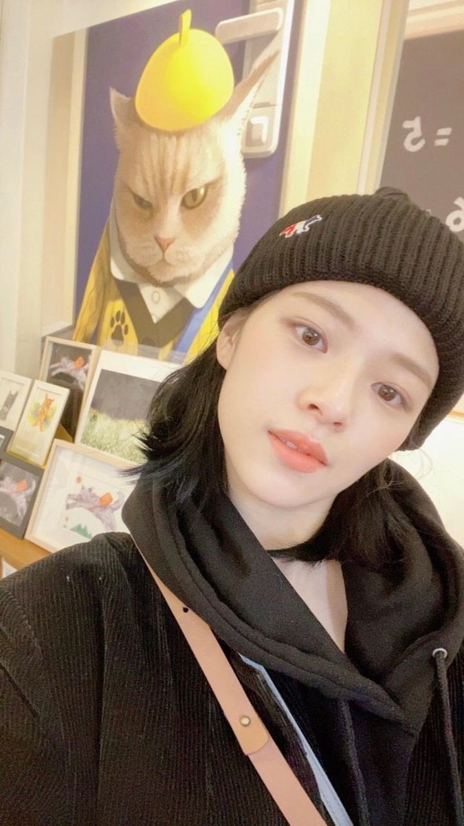 🐱