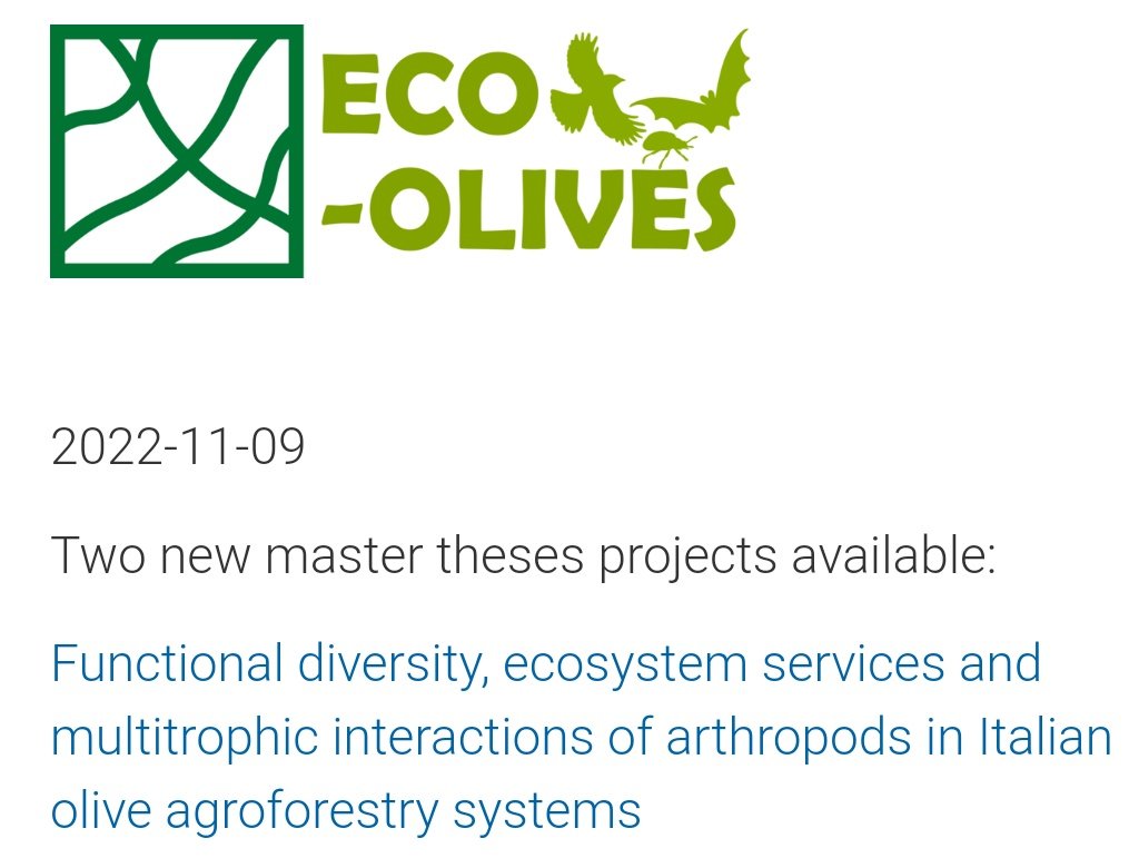 AgroEcoDiv's tweet photo. CALL 📢 We offer two MSc theses in each of our projects #ECOOLIVES &amp; #ECOCACAO!

It's all about conservation and ecosystem service management of birds, bats and arthropods in these fascinating agroforestry systems
🐦🦇🌳🕷️🐜

PLS RT &amp; see more here 👇
https://t.co/tJlok4Nrz9 https://t.co/j5S8HR8TGq