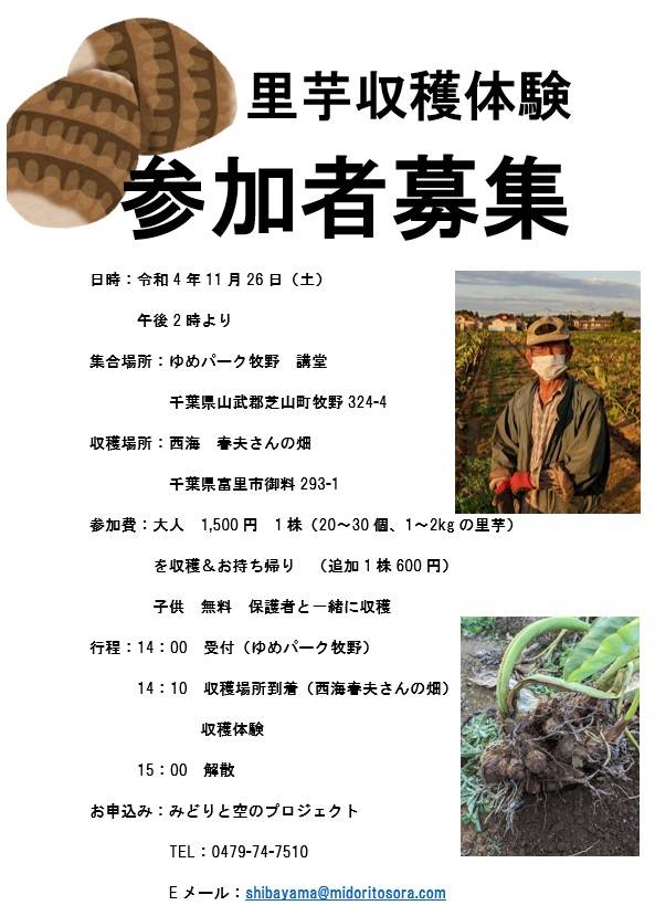 MidoriSora4's tweet photo. 11月26日午後14時～15時里芋収穫体験を行います。以前トウモロコシ収穫体験で好評だった農家の西海さんの畑で開催です。参加者募集中ですので是非芝山町に遊びに来てください😆 https://t.co/HipbVRlHJX