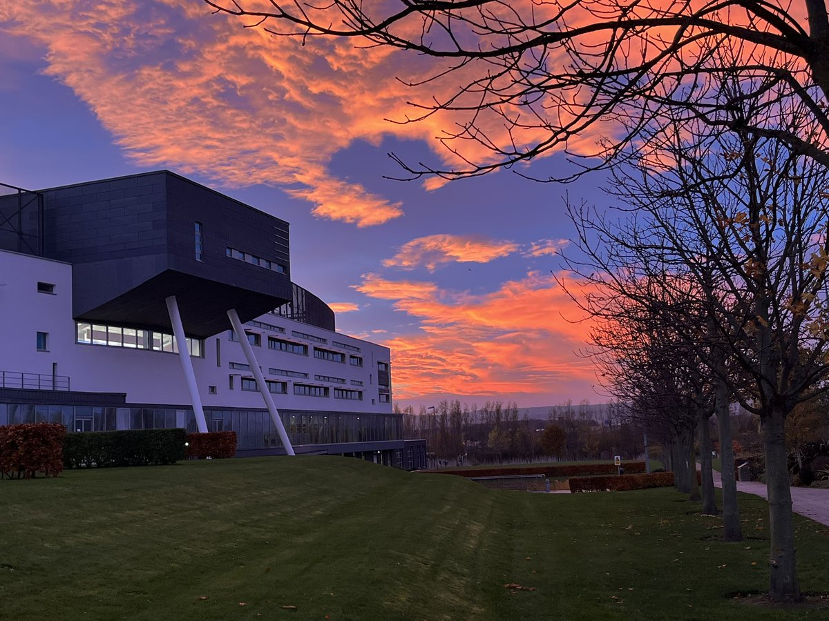 Prof Catriona Bell tweet media