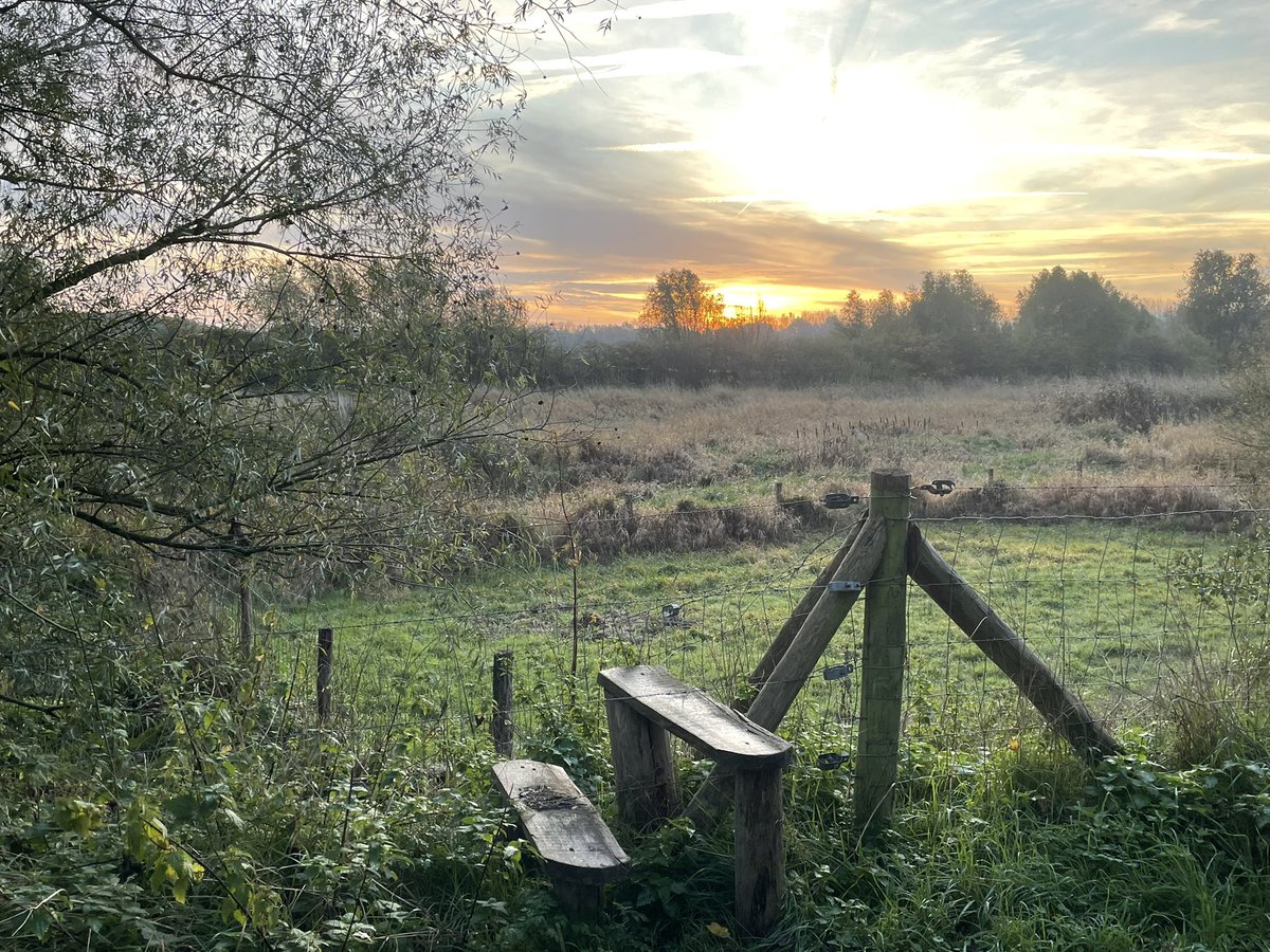 Drew Mac tweet media