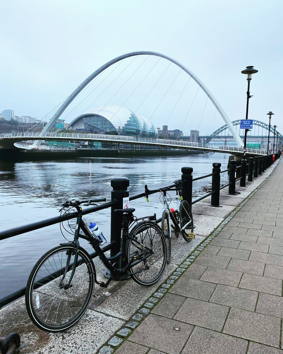 TAP Adventures tweet media