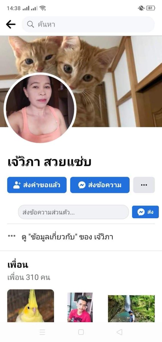 FyPilso's tweet photo. @lukchayhla17 ฝากลงด้วยครับ  เจ้ข้างบ้านครับ https://t.co/vQeE3FYguJ