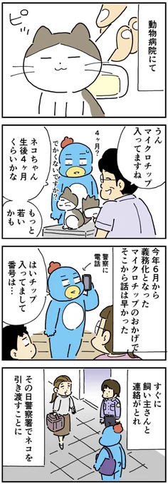 イヌ派の私が子ネコを保護した話⑧
「圧倒的ロス」 