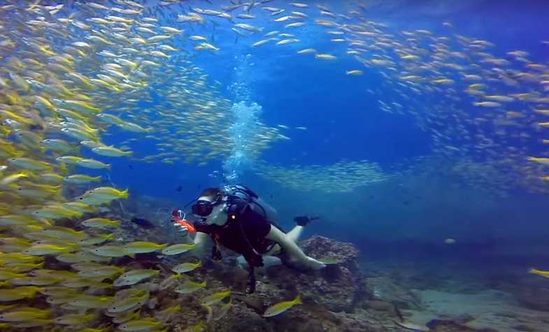 Krabi - mysterious and pristine beauty of the precious island with white sand and sapphirine beaches in Thailand
Hotline: 091 222 14 42
Email: info@travelauthenticasia.com
#travelauthenticasia #southeastasia #southeastasiatravel #southeastasiatrip #Thailandtravel #Thailandtrip