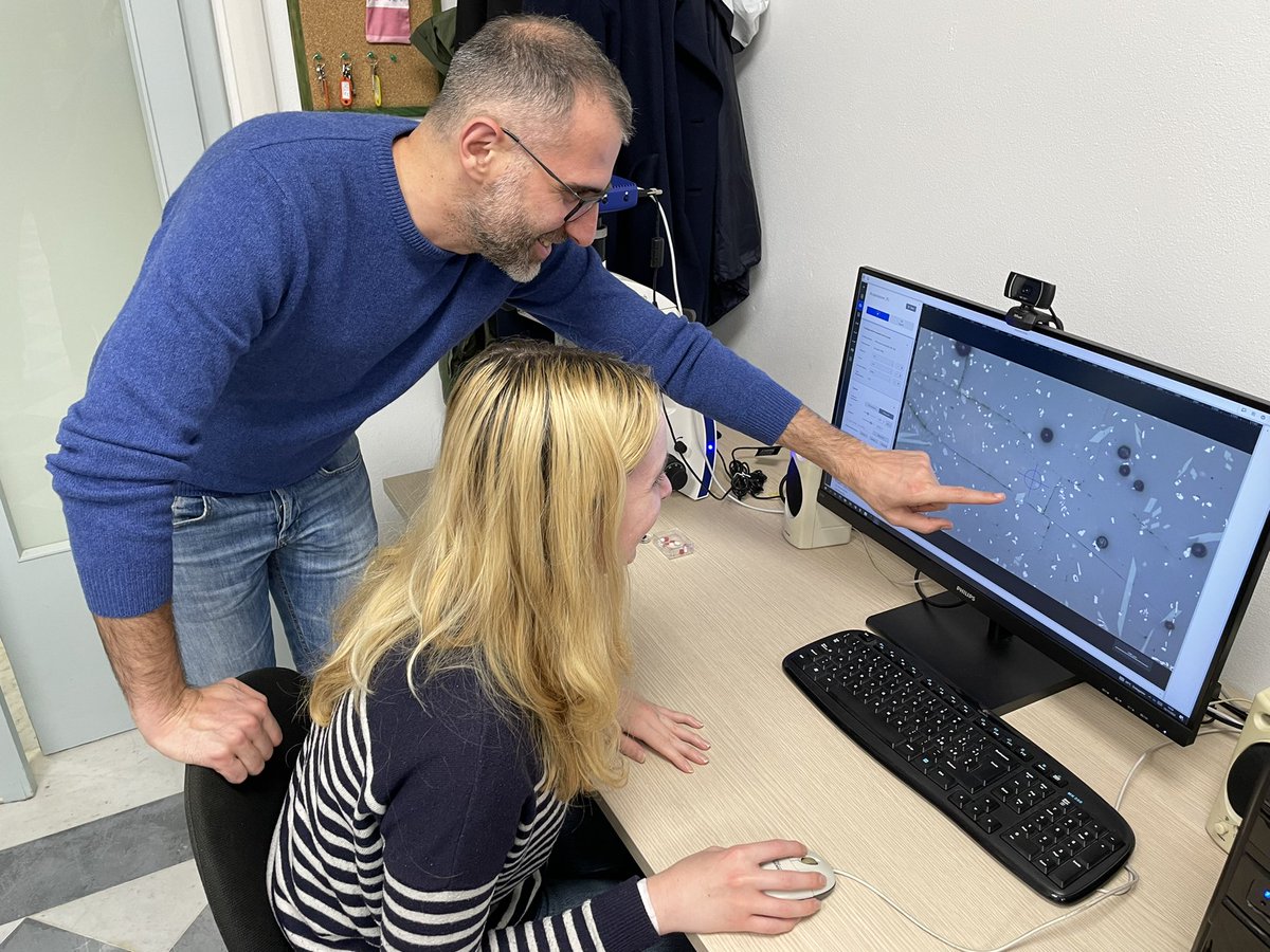 Looking at one of the first phase equilibria experiments on Paraná dacites 🌋