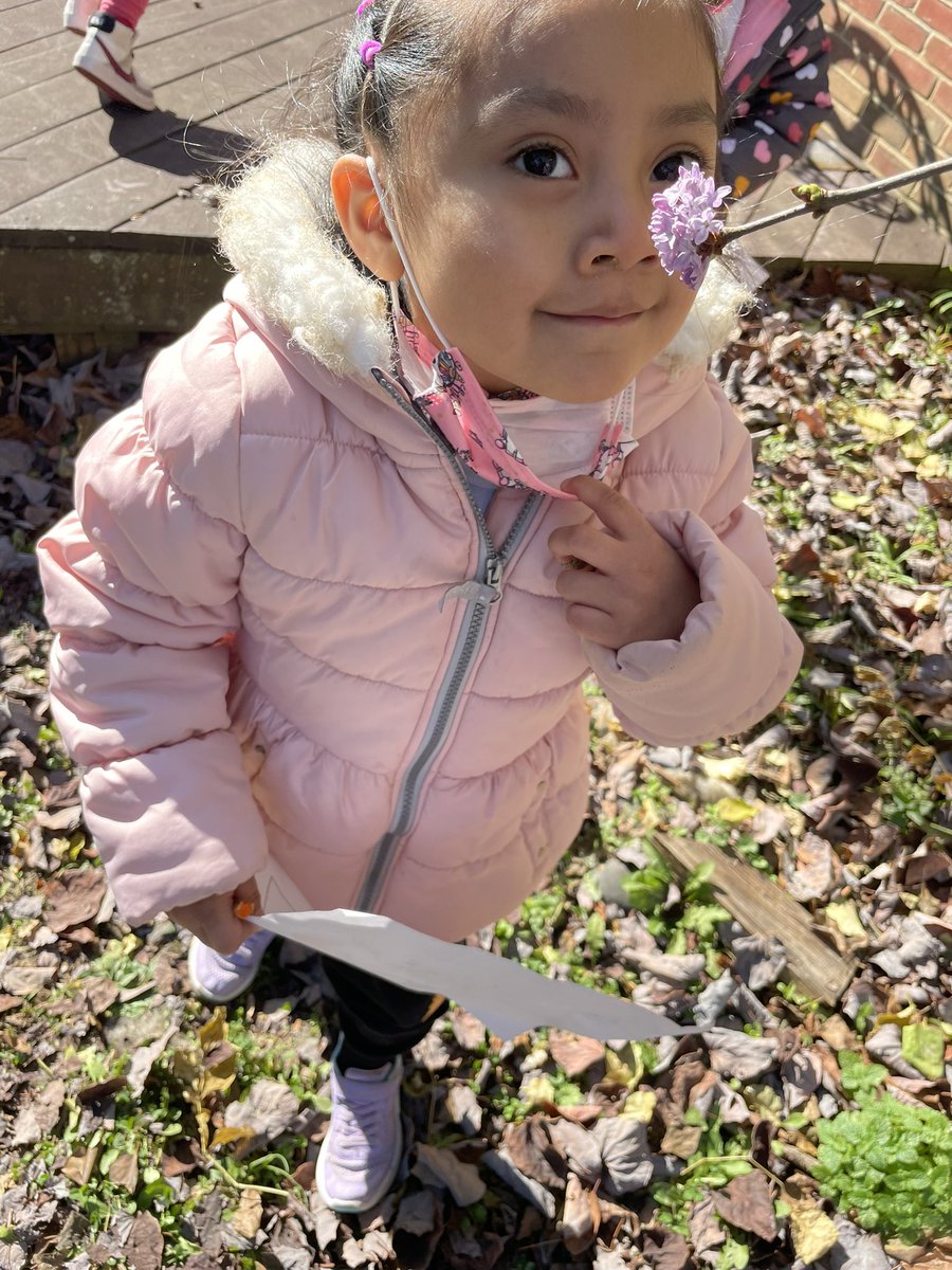 Ashley Hollander tweet media