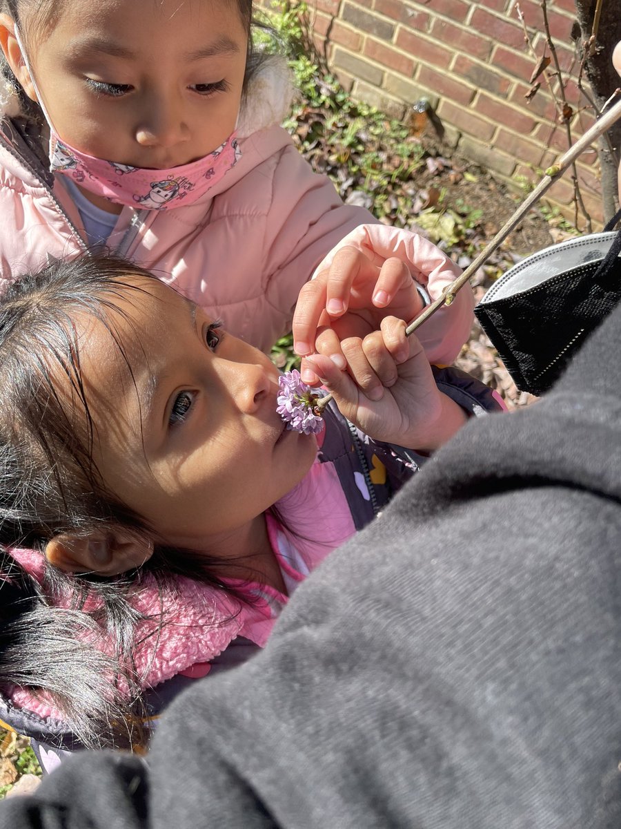 Ashley Hollander tweet media