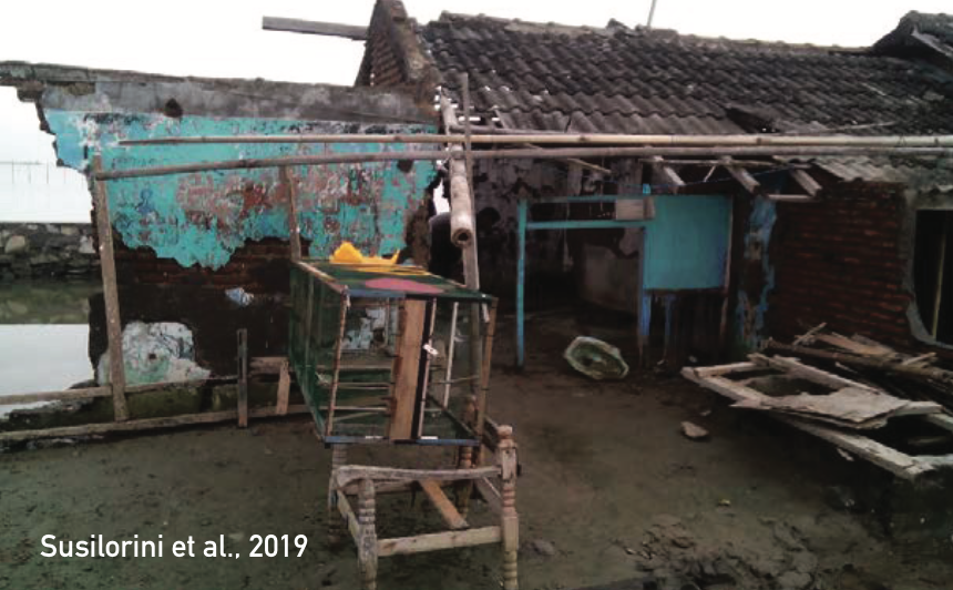 MangroveID's tweet photo. In fact, the destruction of mangrove forests has several negative consequences, such as the loss of settlements due to abrasion. Let's check out what is happening in Demak Regency, located in the northern Java coastal area, Indonesia #ALERT #Mangroves #conservation https://t.co/Zh6DfgAuis