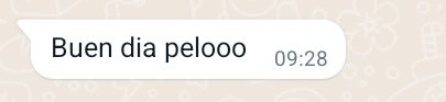soffpintos_'s tweet photo. todos tratandome d mi amor, hermosa bla bla
el croto q me tiene: https://t.co/pJyrZVxb1Z