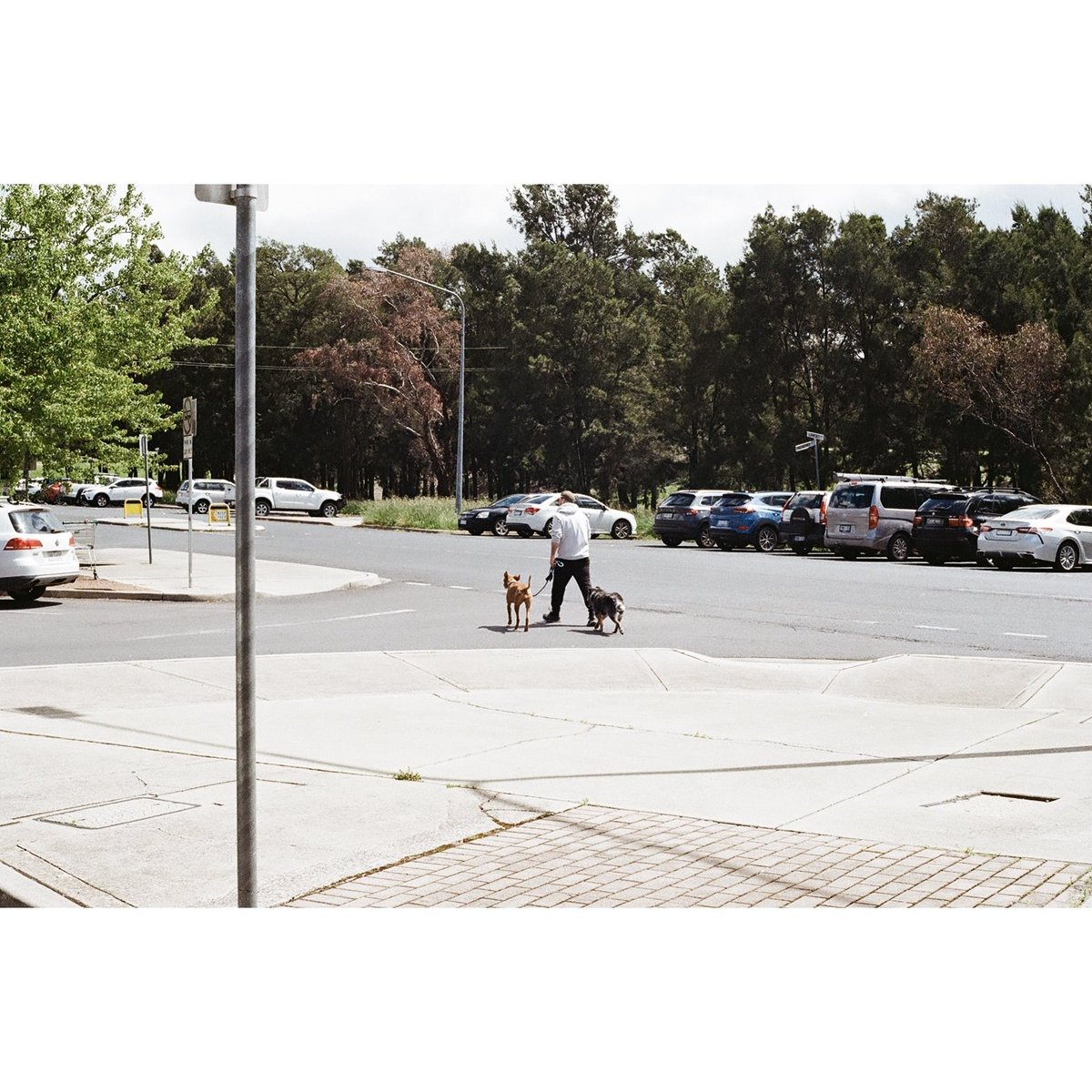 droxcp's tweet photo. walk the dogs

#dogwalker #dogwalking #streetphotography #urbanphotography #35mmfilmphotography #35mmfilmcamera #35mmfilm #CanonAE1Program #KodakGold200 https://t.co/LYN3amCWLW