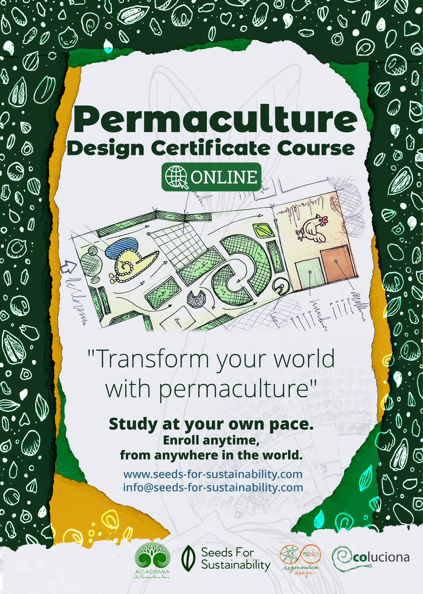 Study #permaculture #design from anywhere in the world. 

seeds-for-sustainability.com/en/courses/per…