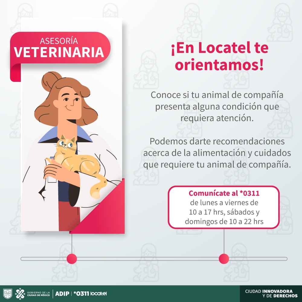 locatel_mx's tweet photo. ¡Requieres alguna atención para tu animal de compañía!
👩🏽‍⚕️👨🏽‍⚕️🩺

En *0311 Locatel contamos con veterinarios que pueden orientarte y ayudarte para que aquello que nos acompañan estén bien.🐶🐱🐹

#VeterinariosLoctel 
#AtenciónLocatel 
#0311Locatel https://t.co/WKAMfYipn6
