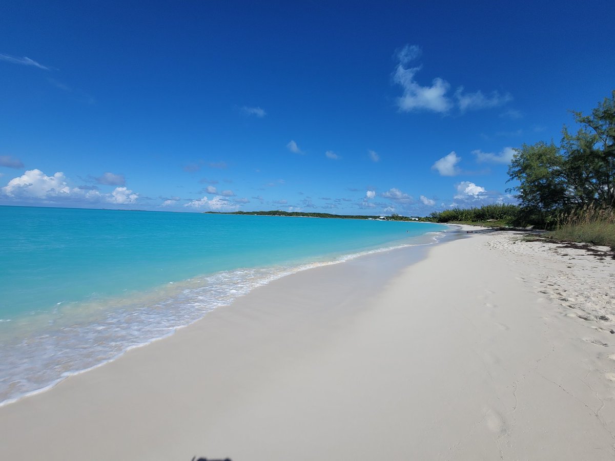 Whipper9205's tweet photo. Day one... Hoopers Bay.#staysalty #swimwiththepigsinbahamas #swimmingpigs #swimmingpigsbahamas #boattours #bahamas🇧🇸 #exumadream #atlantisbahamas #compasscayexuma #compasscaysharks #greatexuma #littleexuma #bigmajorcay #normanscay #bahamascharter #exumabahamas #exuma #kitesurf https://t.co/vn9MDruGaL