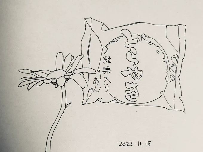 と言いつつ今日のお茶はカモミールティーでした。

丁寧な暮らしをしているわけではなくて賞味期限が切れそうだったからです。あとどら焼き買ったけど食べなかった。 