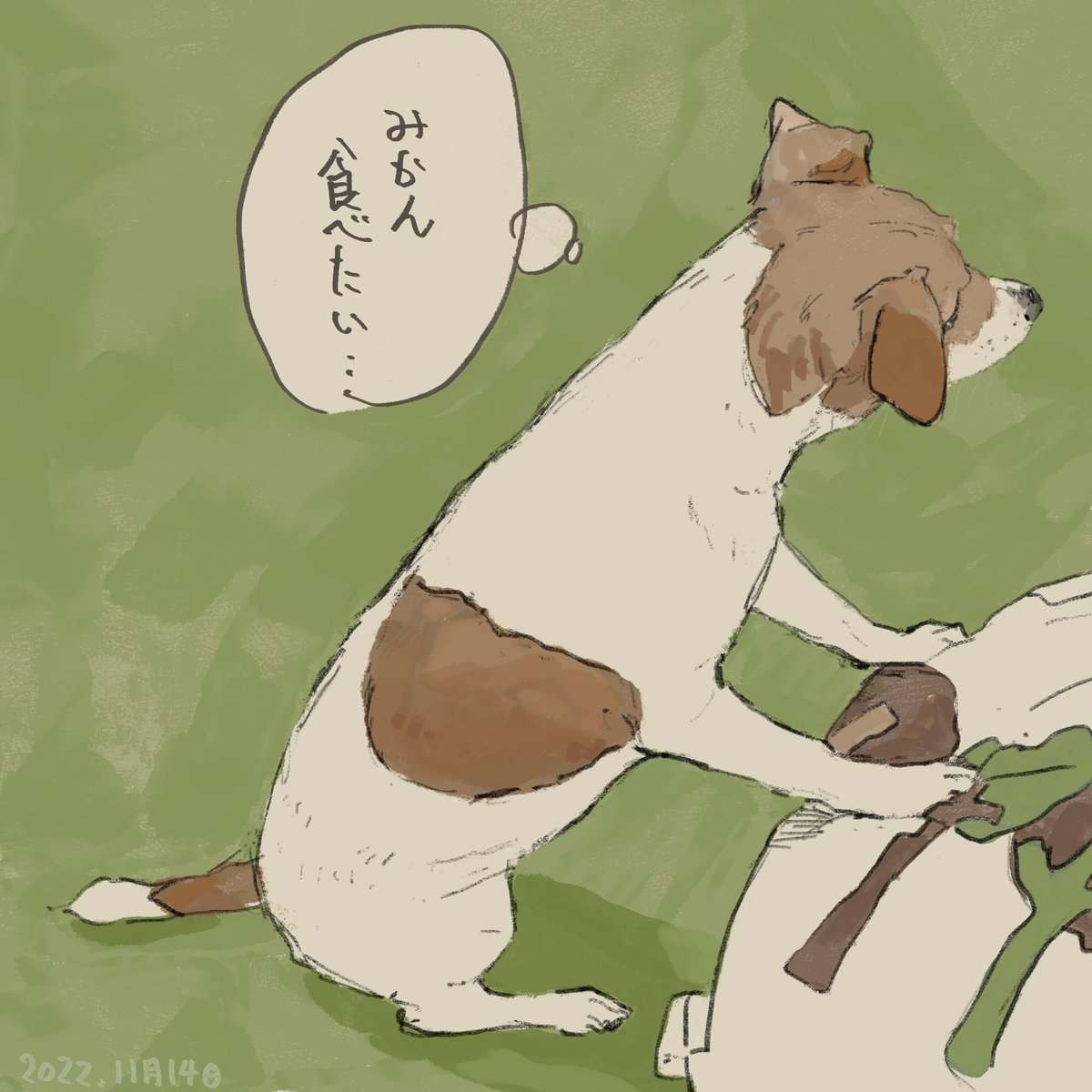 みかんをおねだりするちゃんクー 