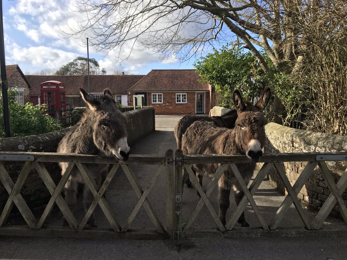 Come and visit our family friendly primary school in the heart of Beaulieu Village… open day Tuesday 29th November at 10.30 or 6pm